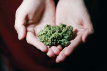Get to Know the Different Ways to Use Marijuana 50