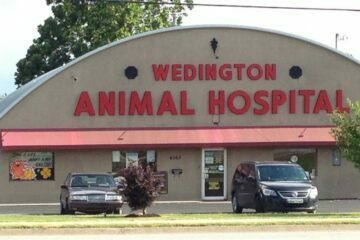 Visit wedington animal hospital to read reviews about doctors 52